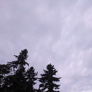 Meet your Posher, Lynn